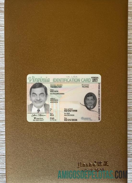 USA Virginia ID Card olhar de foto frente amostra